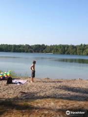 Myles Standish State Forest