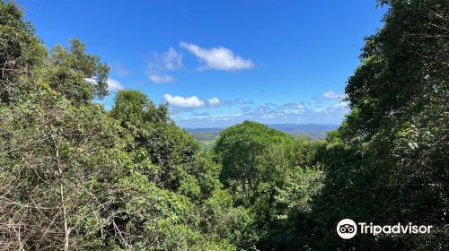 Hardys Lookout