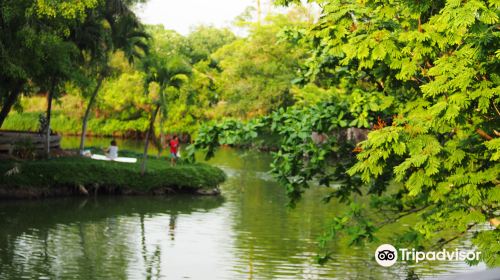 시리나콘 식물주립공원