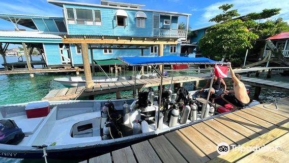 Panama Dive School