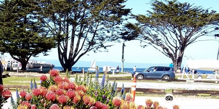 Del Monte Beach