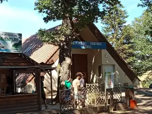 Branché Aventure