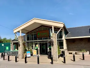 Tong Garden Centre