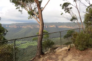 Mount Blackheath Lookout