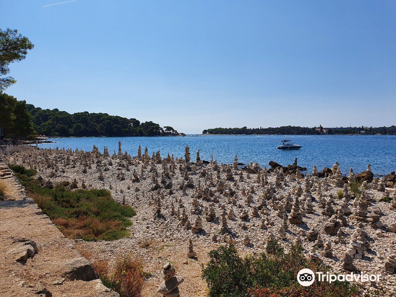 Golden Island of Krk from Rijeka 2024 - Rovinj