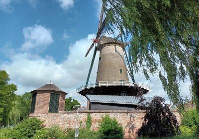 Korenmolen De Windotter