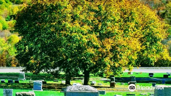 Historic Brush Creek Cemetery