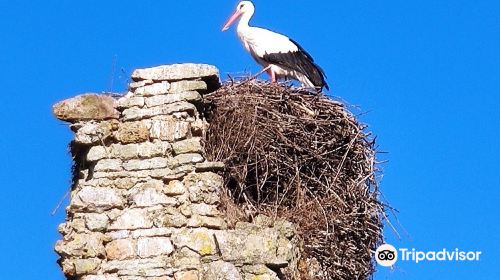 Castle of the Riviere