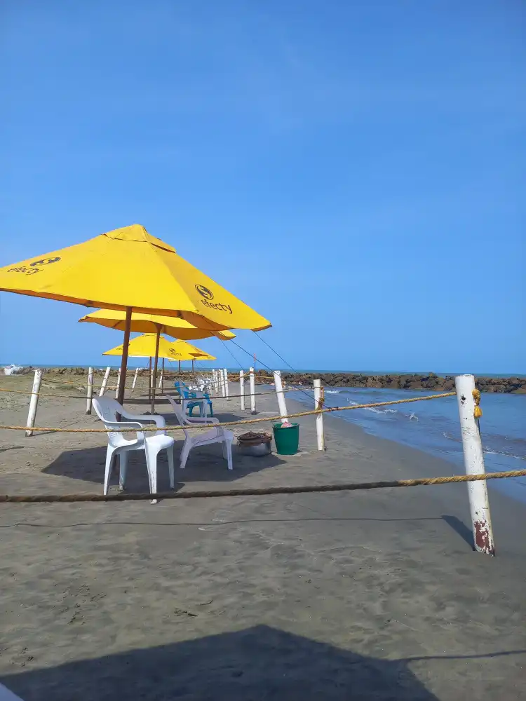 Hotels near Playa Marbella