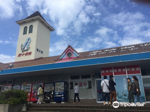 Port Akasaki Road Station