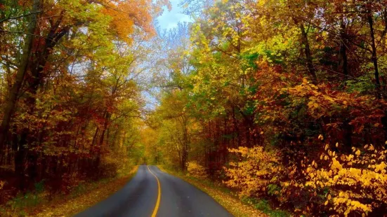 Blendon Woods Metro Park