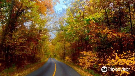 Blendon Woods Metro Park