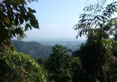 大山腳休養林