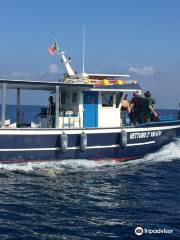 Calabria Sport Fishing