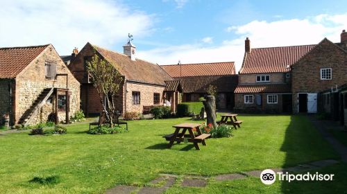 Hornsea Museum