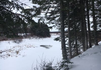 Humber River Trail