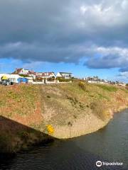 Donmouth Local Nature Reserve