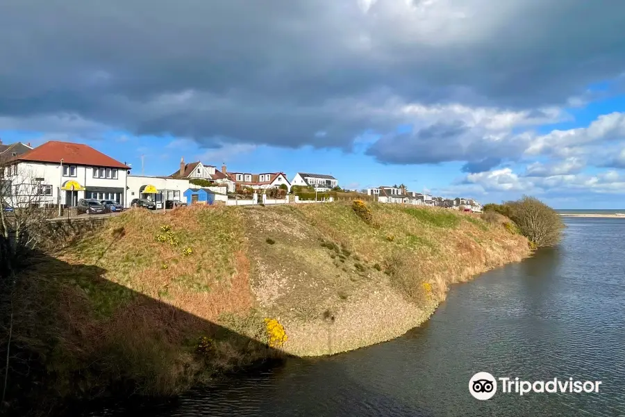 Donmouth Local Nature Reserve