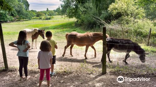 Ferme d'Ecancourt