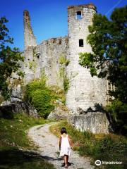 Château fort de Montaigle