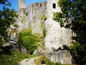 Les ruines du Chateau Fort de Montaigle