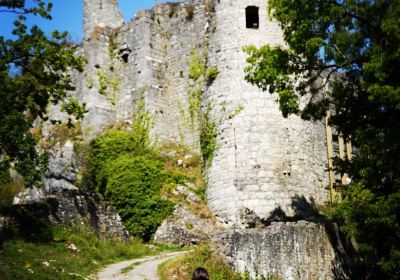Les ruines du Chateau Fort de Montaigle
