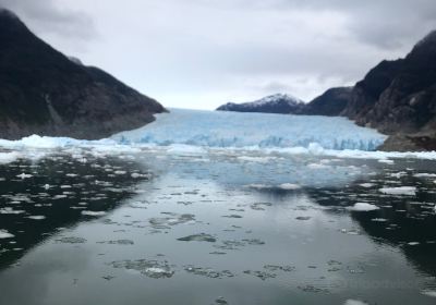 Parque Nacional Laguna San Rafael