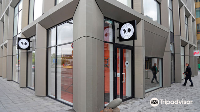 The Icelandic Phallological Museum