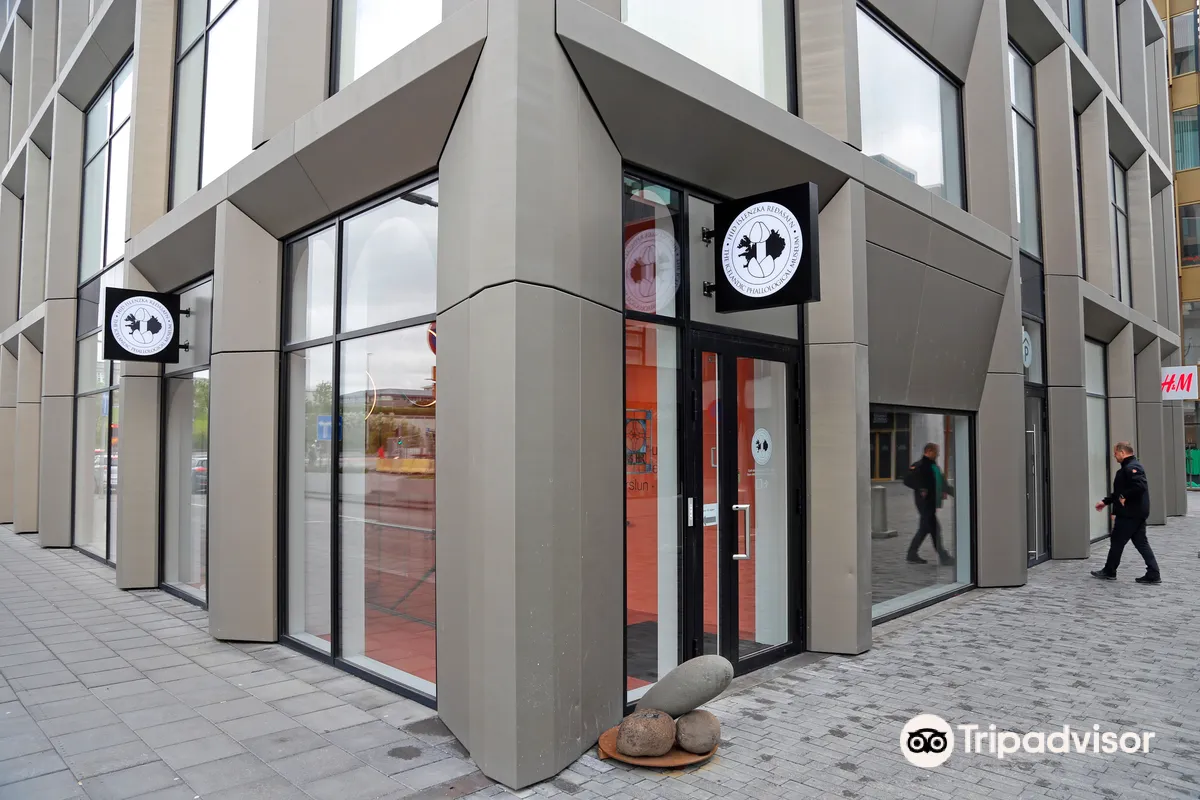 The Icelandic Phallological Museum