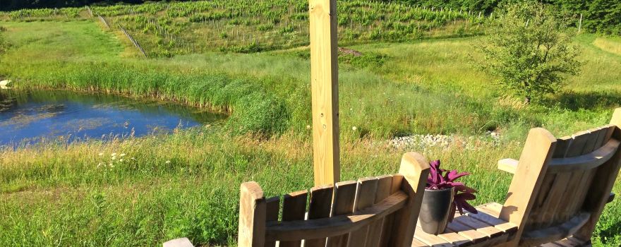 WaterFire Vineyards - Torch Lake Winery