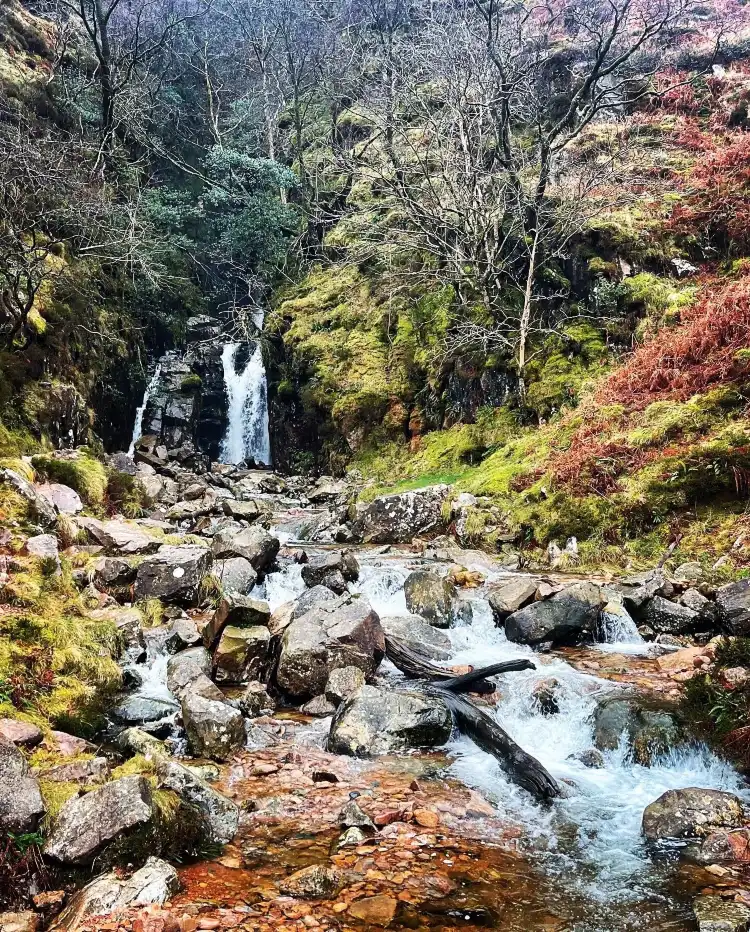 Hotels near Scale Force Waterfall