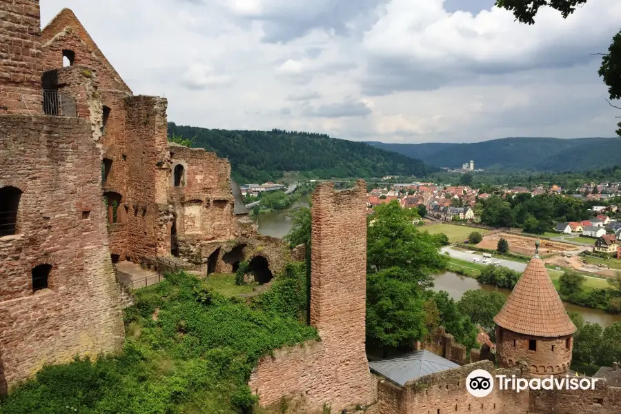 Wertheim Castle