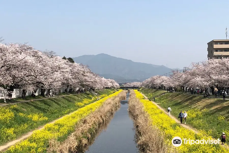 佐奈川堤