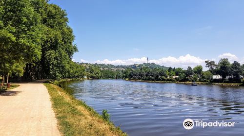 Les bords de l'Allier