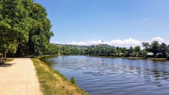 Les bords de l'Allier