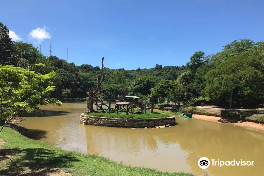 Cidade Park and mini zoo