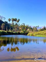 Arroyo Burro County Beach Park