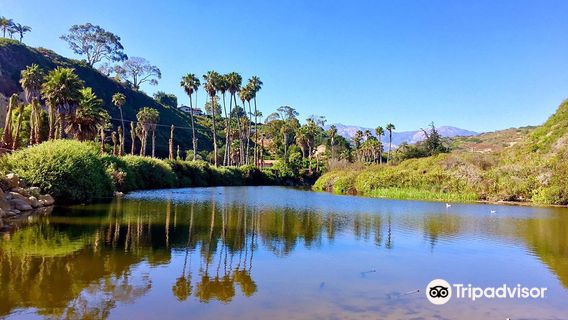 Arroyo Burro Beach County Park