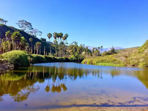 Hotels near Arroyo Burro Beach County Park