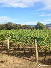 The Akaroa Winery at Takamatua Valley Organic Vineyards