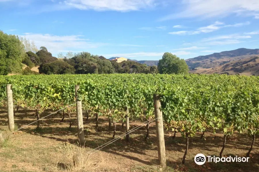 The Akaroa Winery at Takamatua Valley Organic Vineyards