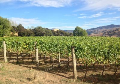 The Akaroa Winery at Takamatua Valley Organic Vineyards