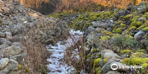 Riserva Naturale Speciale della Bessa