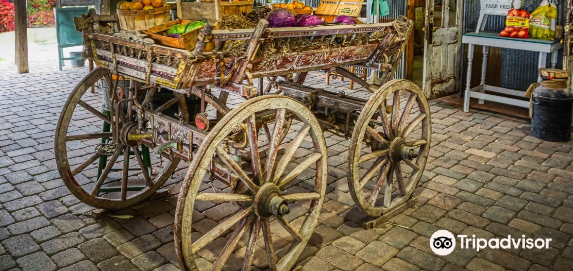 Mount Dora Travel Guide 2026: Top Attractions, Things to Do & Deals