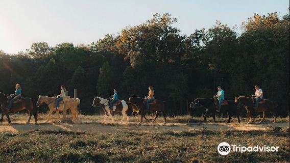 Jayell Ranch Family Adventure Park