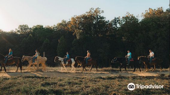 Jayell Ranch Family Adventure Park
