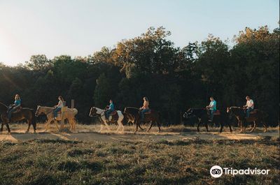 Jayell Ranch Family Adventure Park