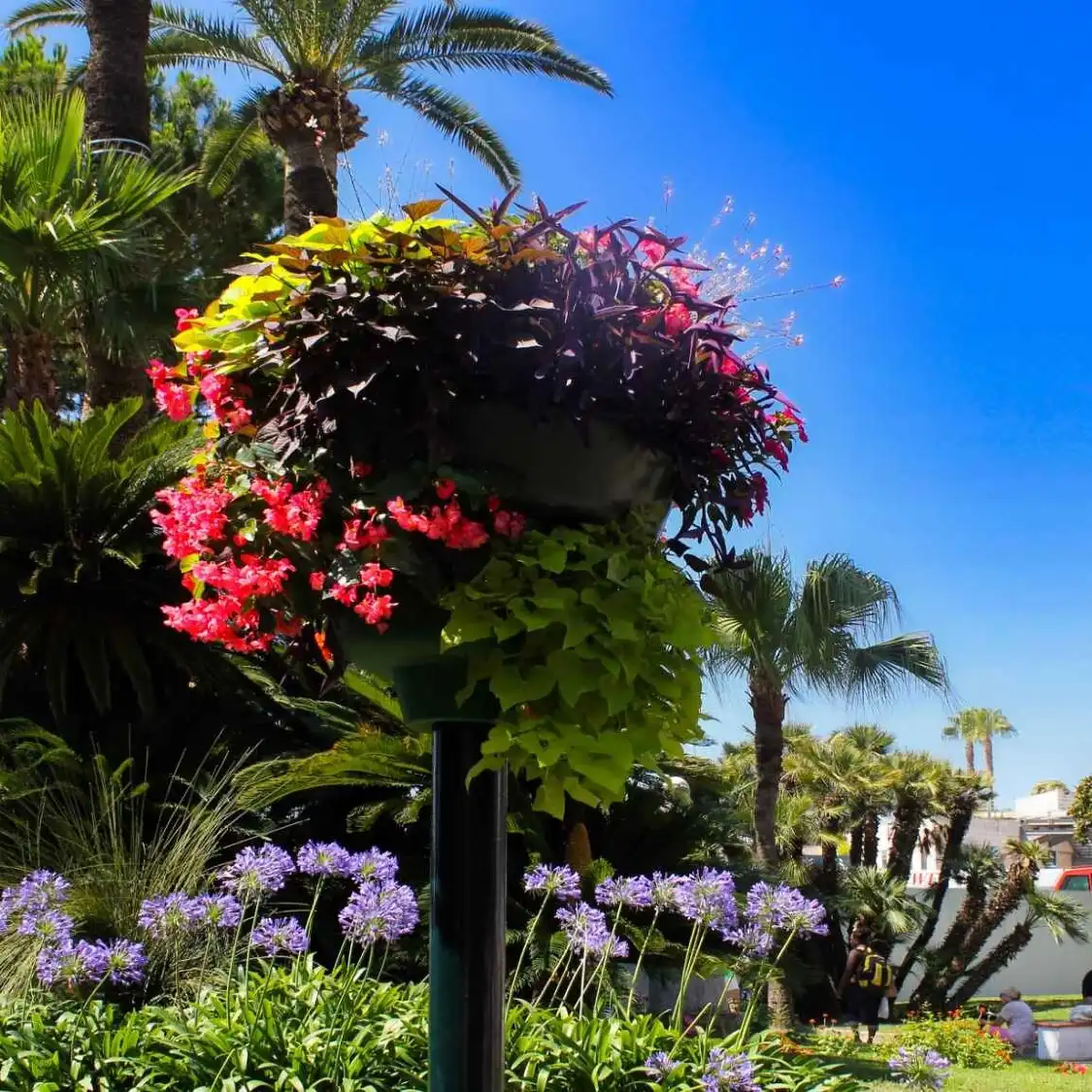 Hotels near Square Mistral