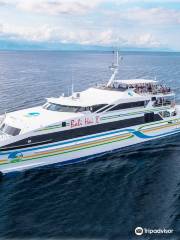 Bali Hai Cruises