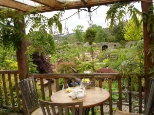 Larch Cottage Nurseries